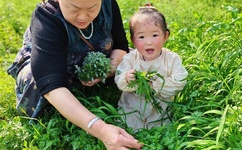 爱奇艺黄金套餐